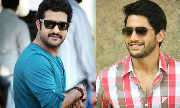 ram charan,ntr,nagachaitanya,katthi,thani oruvan,premam  హీరోలు రెడీ.. స్టోరీలు రెడీ.. మరి డైరెక్టర్లు..? 